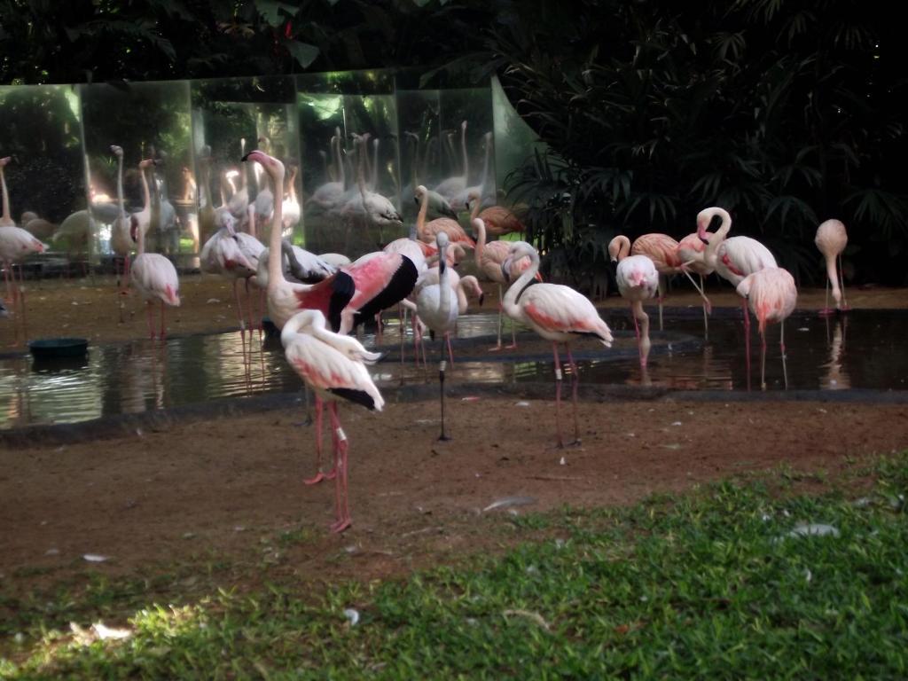 Hotel Pousada Jk Foz do Iguaçu Zewnętrze zdjęcie