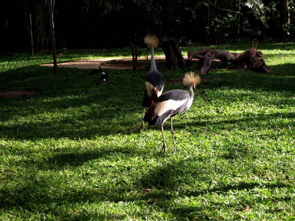 Hotel Pousada Jk Foz do Iguaçu Zewnętrze zdjęcie